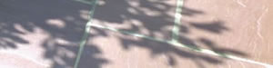 picture1